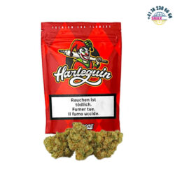 Nuggez - Harlequin CBD Blüten Indoor