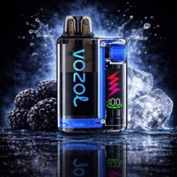 Vozol Vista Plug Starter Kit 20mg/ml - Blue Razz Ice