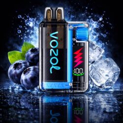 Vozol Vista Plug Starter Kit 20mg/ml - Blueberry Ice