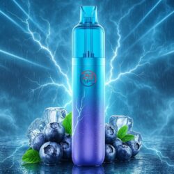 ZHB Vape - Blueberry Ice - 10'000 Puffs - (2+10ml)