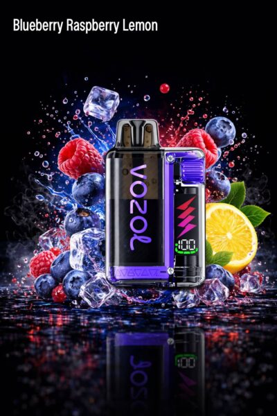 Vozol Vista Plug Starter Kit 20mg/ml - Blueberry Raspberry Lemon