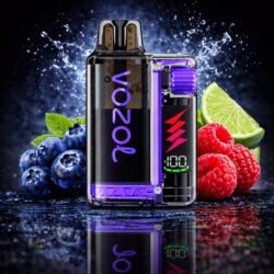 Vozol Vista Plug Starter Kit 20mg/ml - Blueberry Sour Raspberry