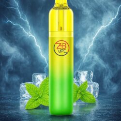 ZHB Vape - Cool Mint Ice - 10'000 Puffs - (2+10ml)