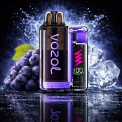 Vozol Vista Plug Starter Kit 20mg/ml - Grape Ice