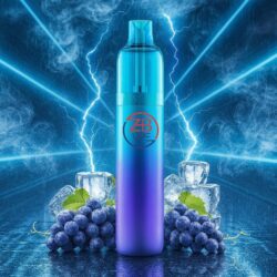 ZHB Vape - Grape Ice - 10'000 Puffs - (2+10ml)