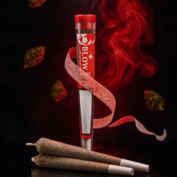 Blow Joint - Cheese Rot Next Generation - (20x)