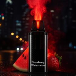 Vozol Vista Plug Liquid Pod - Strawberry Watermelon - 20mg