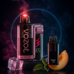 Vozol Vista Plug Starter Kit 20mg/ml - Peach Ice