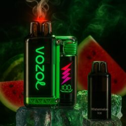 Vozol Vista Plug Starter Kit 20mg/ml - Watermelon Ice
