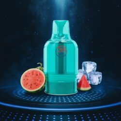 ZHB POD - Watermelon Ice - Pod/Nachfüllbehälter