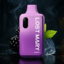 LOST MARY - Blackberry Ice - 6000 Puffs - (5 Stk.)