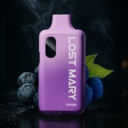 LOST MARY - Blueberry Sour Raspberry - 6000 Puffs - (5 Stk.)