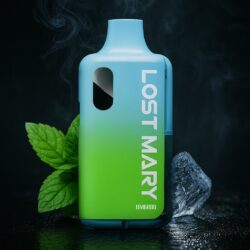 LOST MARY - Menthol Ice - 6000 Puffs - (5 Stk.)