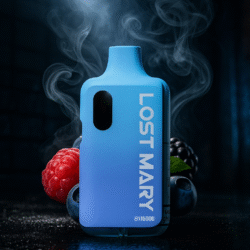 LOST MARY - Triple Berry - 6000 Puffs - (5 Stk.)