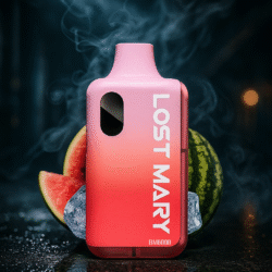 LOST MARY - Watermelon Ice - 6000 Puffs - (5 Stk.)