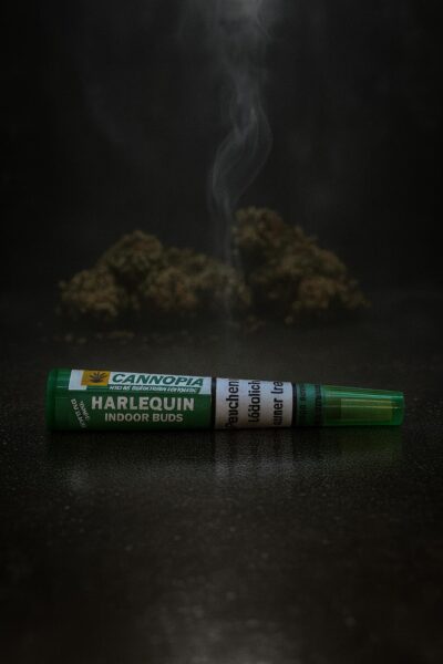 Joint Harlequin CBD - (x10)
