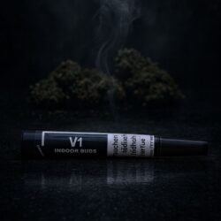 Joint V1 CBD - (x10)