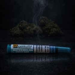 Joint Watermelon CBD - (x10)