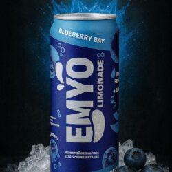 EMYO Limonade - Blueberry Bay - (24x330ml)