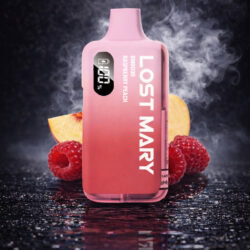LOST MARY - Raspberry Peach - 6000 Puffs - (5 Stk.)