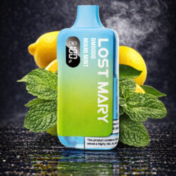 LOST MARY - Miami Mint - 6000 Puffs - (5 Stk.)