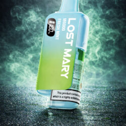 LOST MARY - Fresh Mint - 6000 Puffs - (5 Stk.)