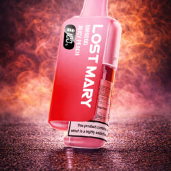 LOST MARY - Juicy Peach - 6000 Puffs - (5 Stk.)